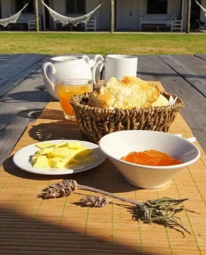 Posada Buscavida