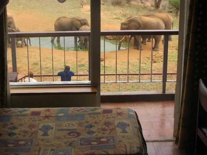 Standard Single room