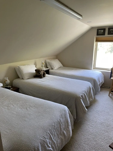 Classic Triple room