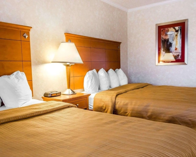 Quadruple Suite