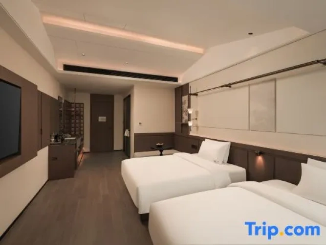 Executive Twin room