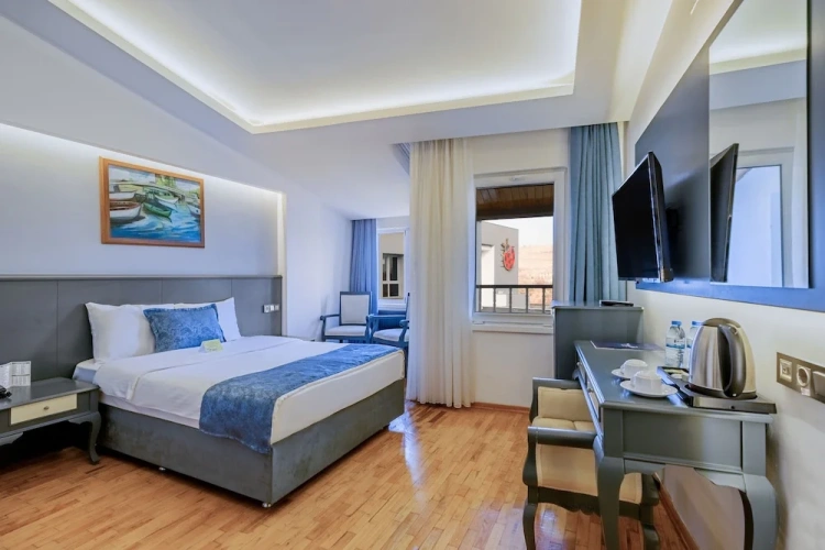 1 Bedroom Standard Single room