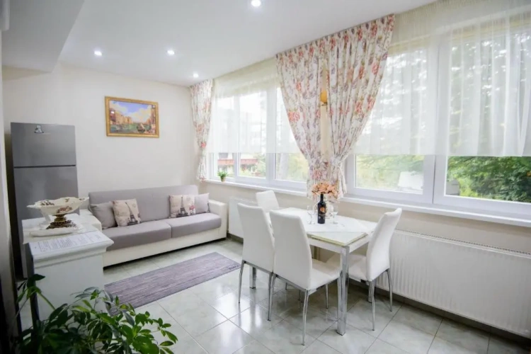 1 Bedroom Apartment