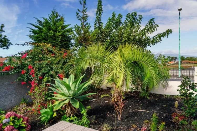 Standard Double room with garden view