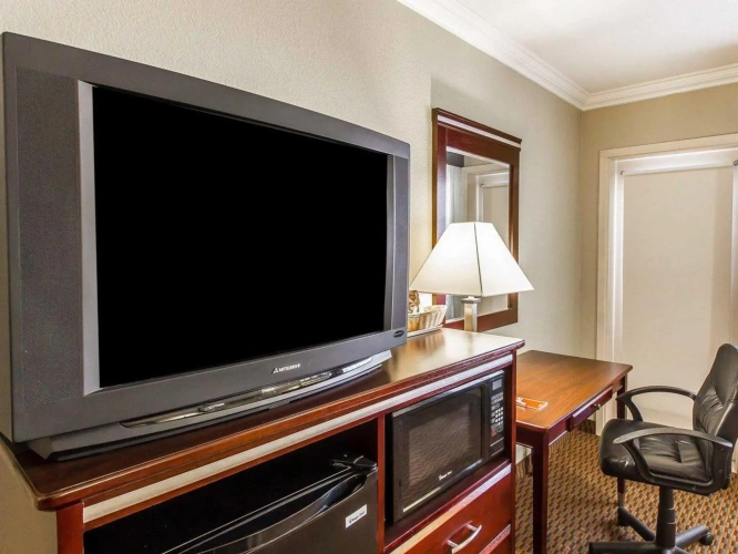 Standard Double room with balcony and with pool view