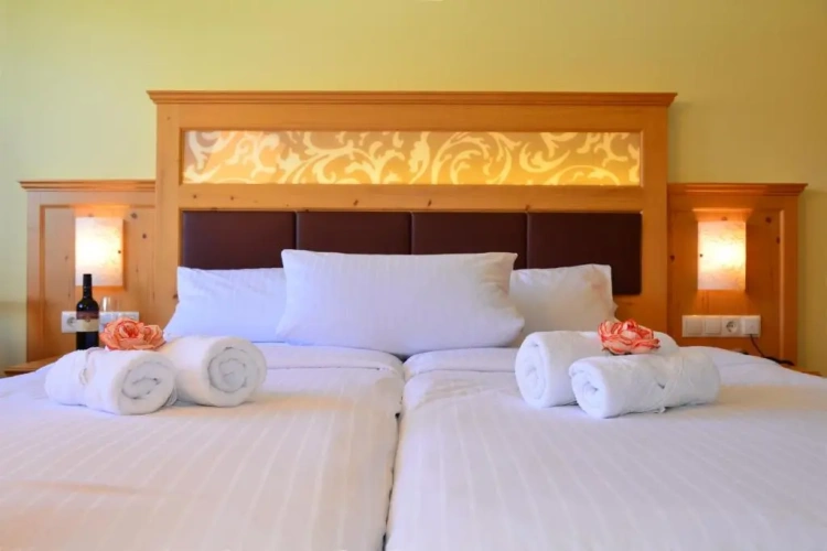 Standard Double room with balcony and with view