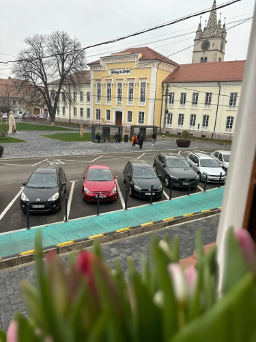Hotel Leul de Aur