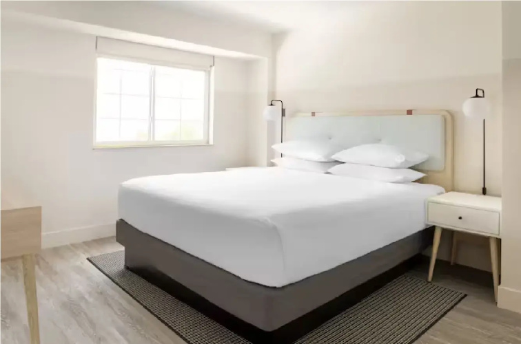 Executive Double Suite