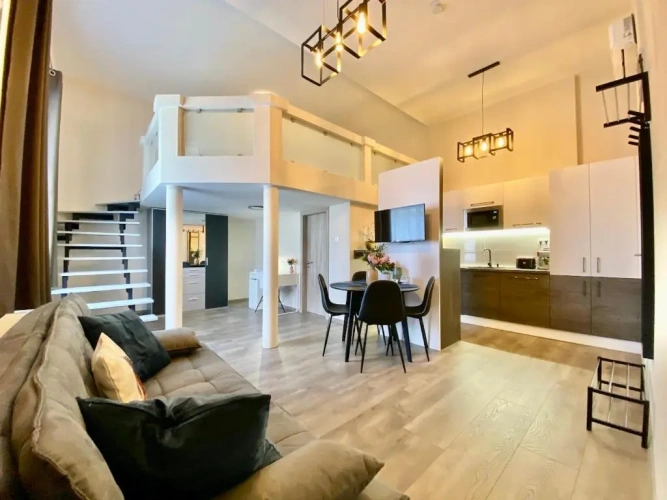 Deluxe Apartment