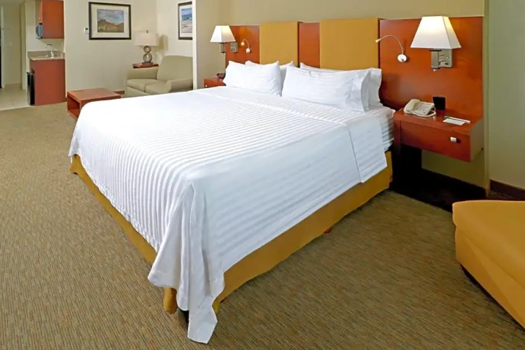 1 Bedroom Double Suite