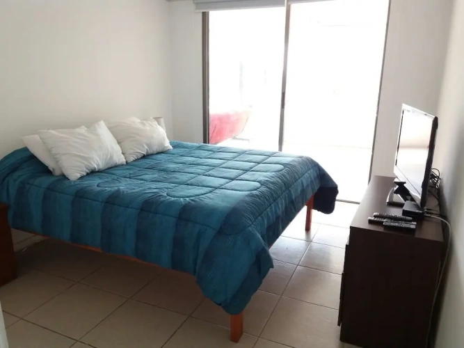 1 Bedroom Standard Apartment