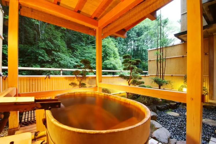 Shoenso Hozukawatei Hotel