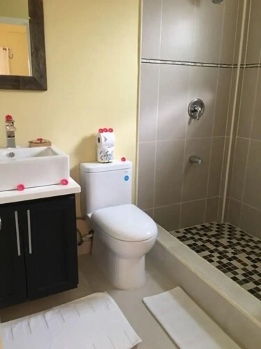 Double Studio with garden view