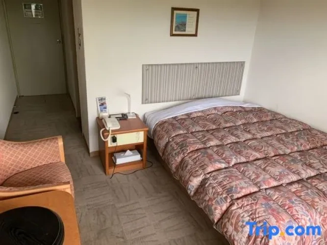 Standard Single room with ocean view