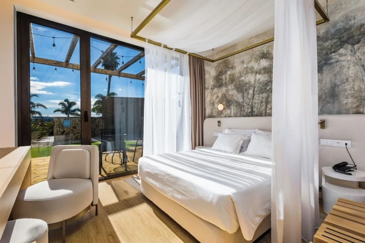 Superior Double room with pool view