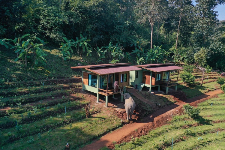 Premium Bungalow
