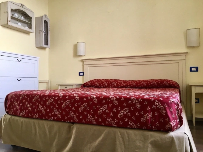 Standard Double room with balcony and with lake view
