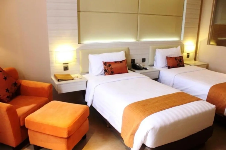 Deluxe Twin room with city view