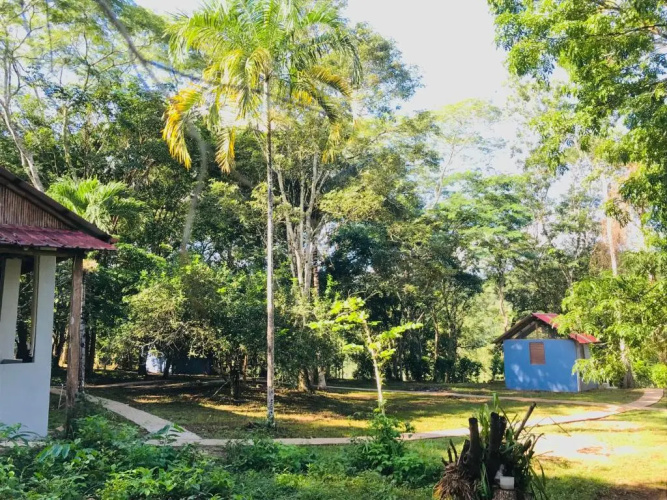 Mango Walk Inn