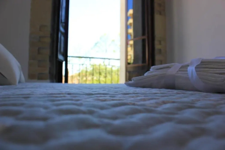 Standard Apartment with view