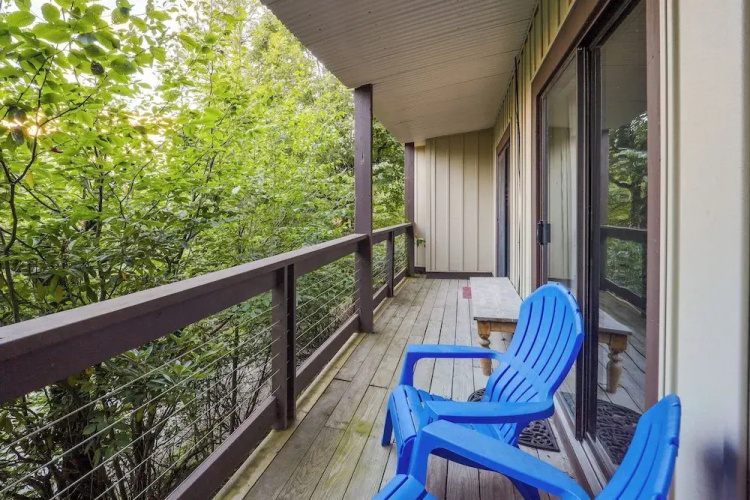 Walk to Slopes! Beech Mountain Condo, Pet Friendly