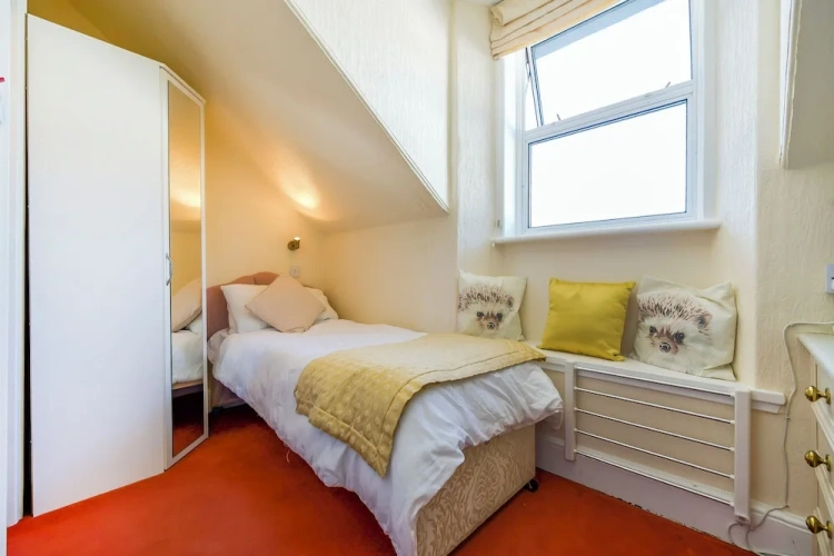 Deluxe Single room with mountain view