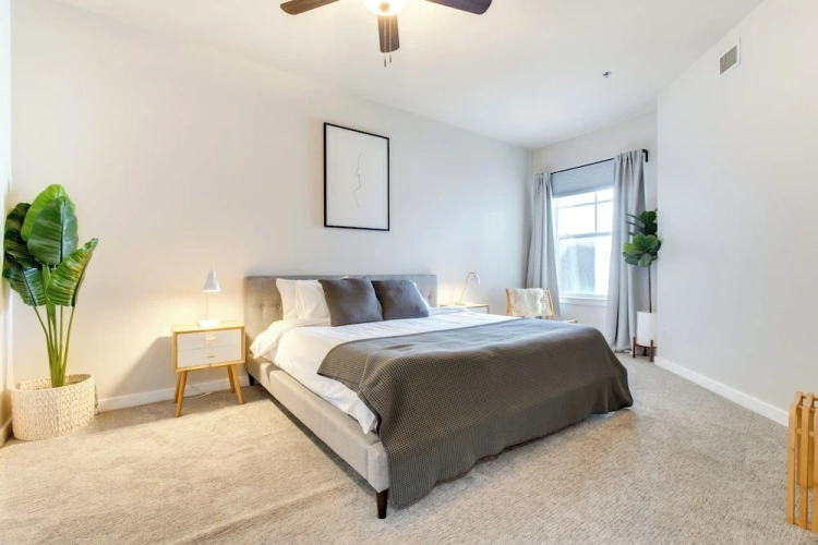 2 Bedrooms Apartment