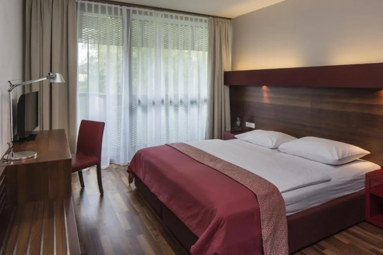 Superior Double room with river view