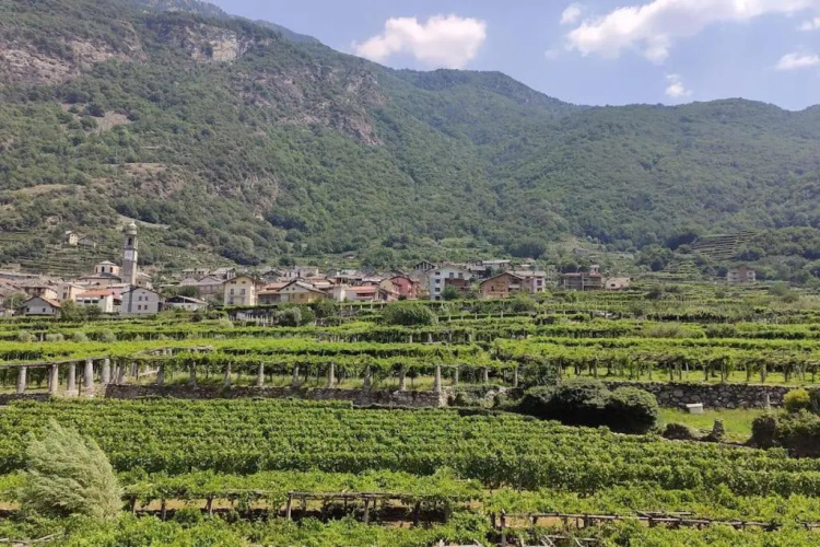 La Casa Dei Nonni 3,0