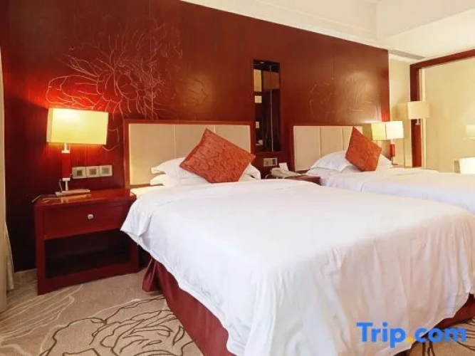 Executive Twin room