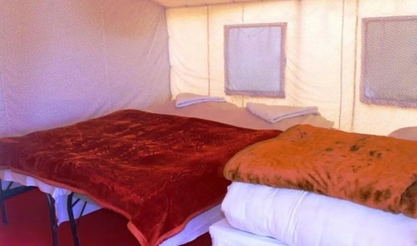 Wonderland Camps