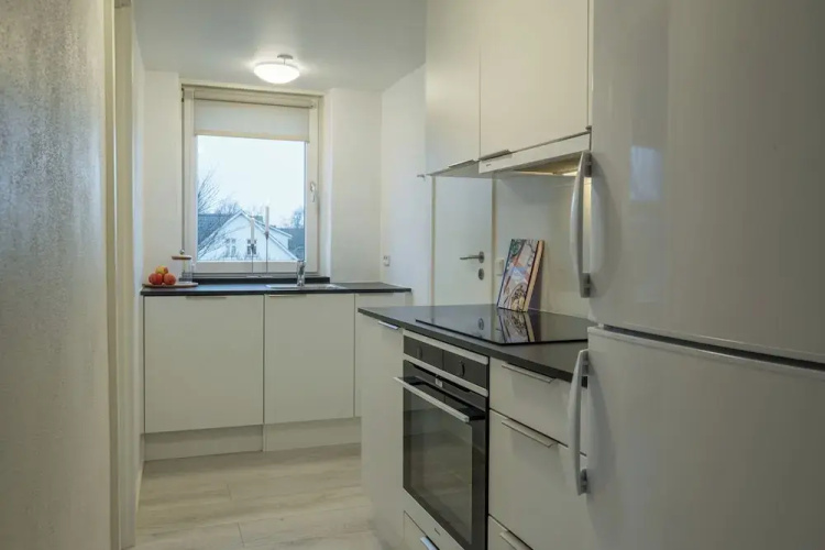 Scandinavian Charm in Aalborg