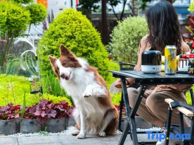 Dali Dream Time Homestay