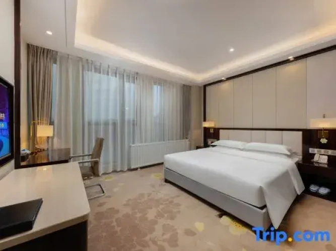 Executive Double Suite
