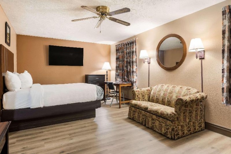Standard Suite