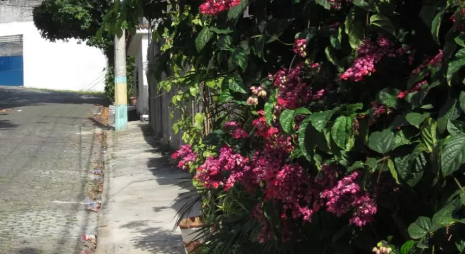 Home in Rio
