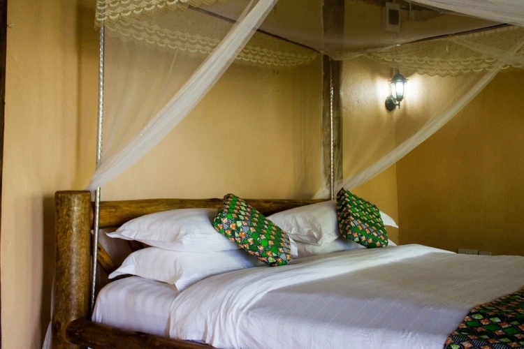 Standard Double room with park view