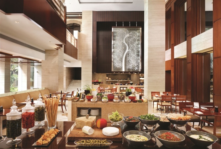 Hyatt Regency Delhi photo 14