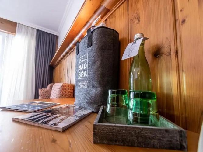 Standard Double room with balcony and with mountain view