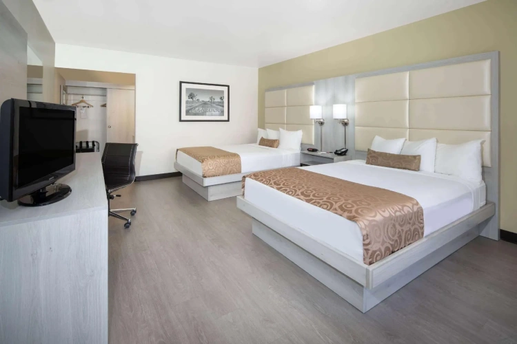 Deluxe Quadruple room