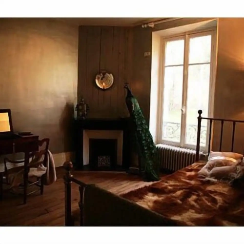 Comfort Suite