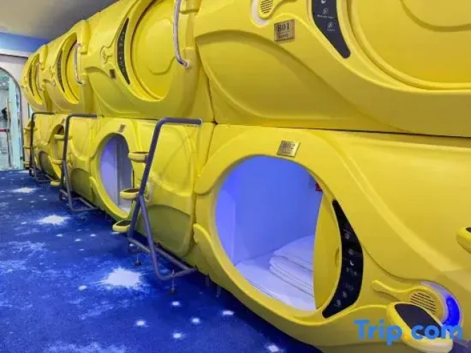 Business Capsule