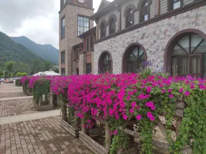 Benxi Huamu Hefu Warm Apartment