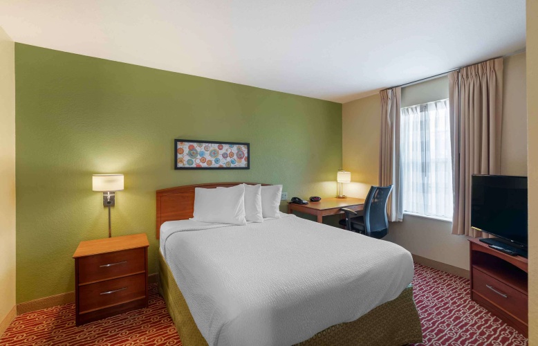 2 Bedrooms Quadruple Suite