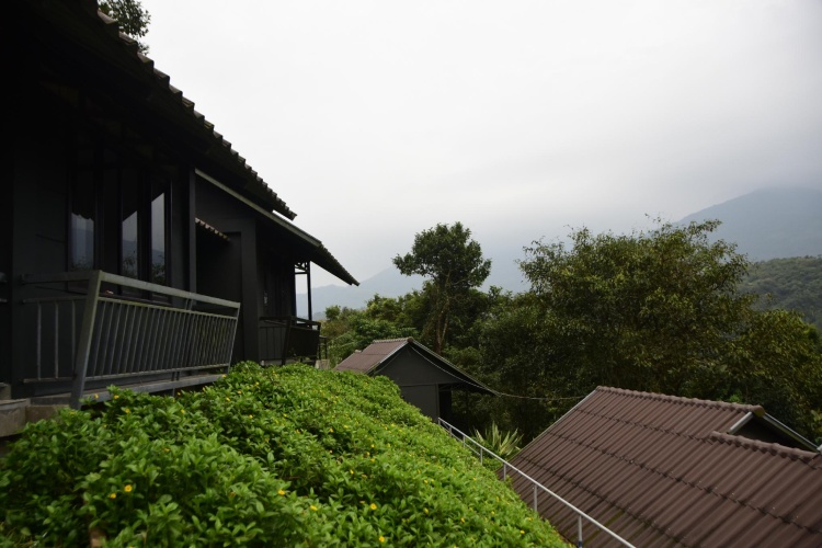Deluxe Double Cottage