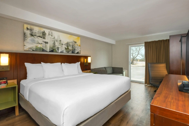 Standard Double room