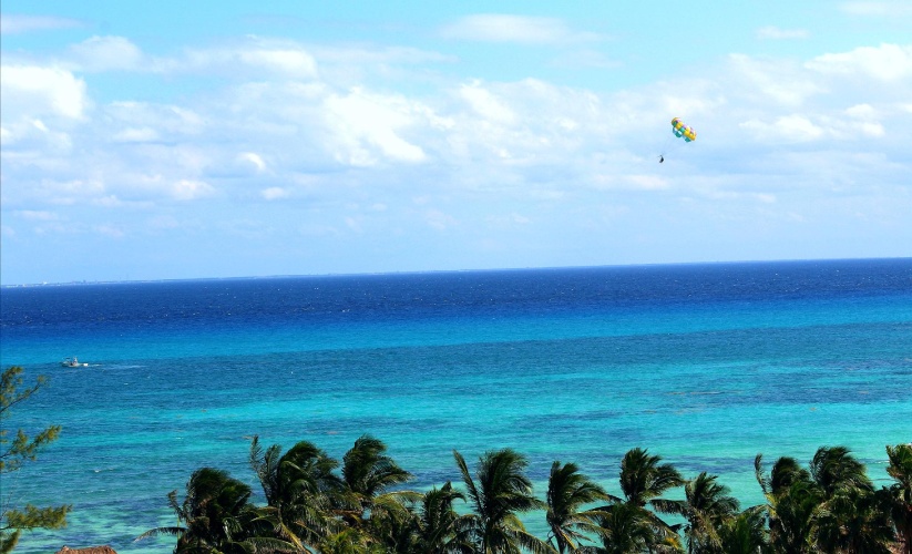 Singular Joy Vacation Rentals