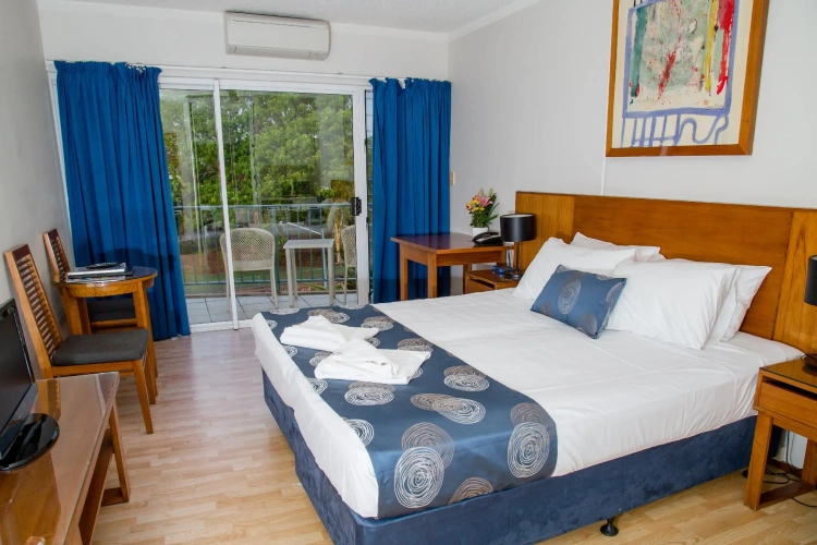 Standard Double room with balcony and with view