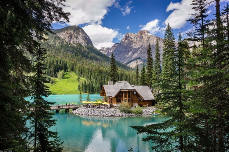 Emerald Lake Lodge photo 16