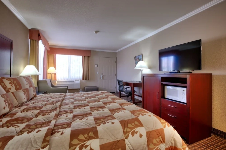 Standard Double Basement room